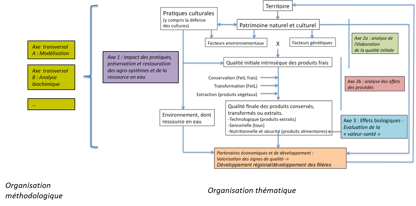 Nouveau projet SFR TERSYS
