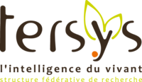 Logo TERSYS/l'équipe de direction
