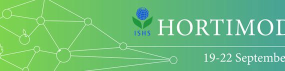 Hortimodel Avignon Palais des Papes